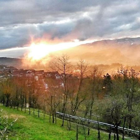 Casa Nella Natura Il Risveglio Degli Elfi ペダヴェーナ エクステリア 写真