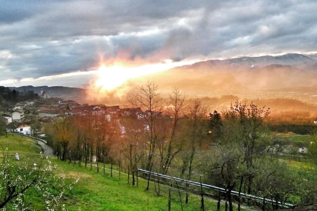 Casa Nella Natura Il Risveglio Degli Elfi ペダヴェーナ エクステリア 写真