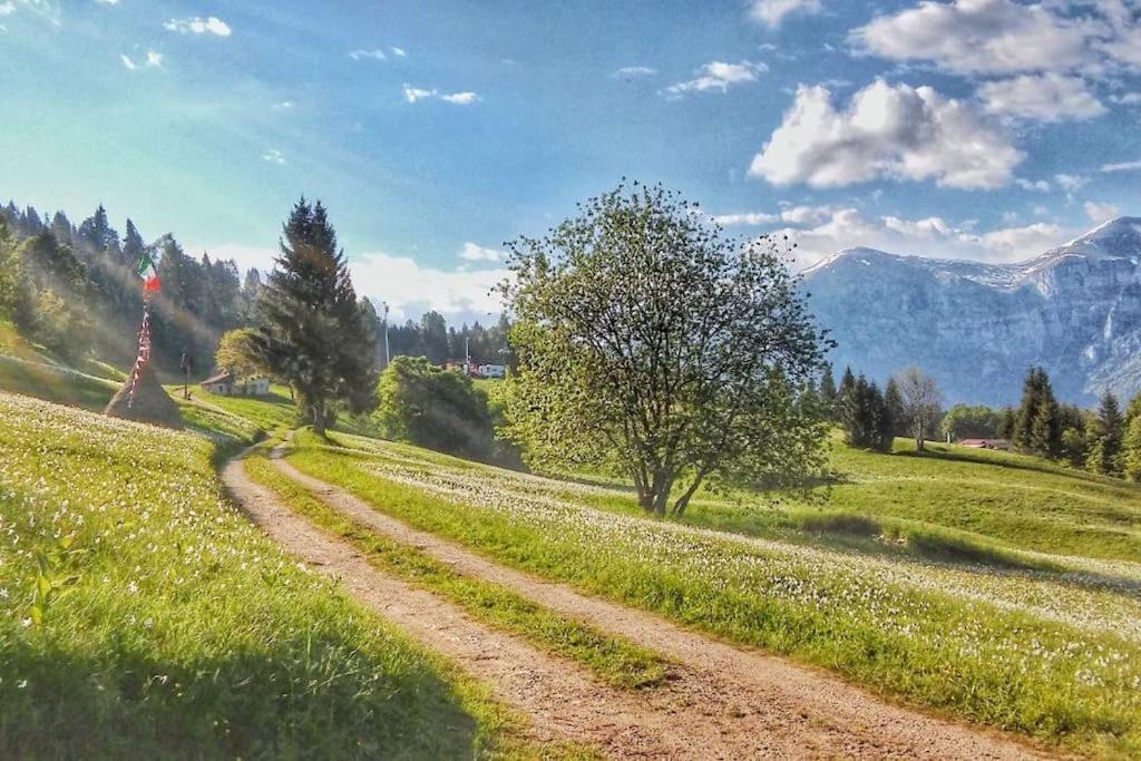 Casa Nella Natura Il Risveglio Degli Elfi ペダヴェーナ エクステリア 写真