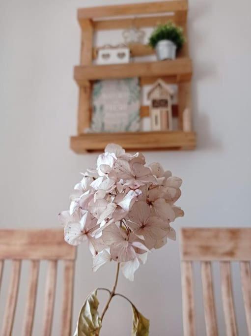 Casa Nella Natura Il Risveglio Degli Elfi ペダヴェーナ エクステリア 写真